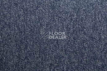 Ковролин Condor Forza 81 фото 1 | FLOORDEALER
